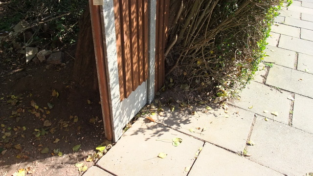 dscf8683.jpg